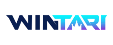 Wintari sport