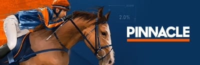 Pinnacle fr
